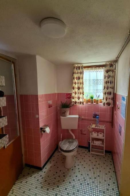 Idyllische Kleine Ferienwohnung Im Schwarzwald 프리덴웨일러 외부 사진