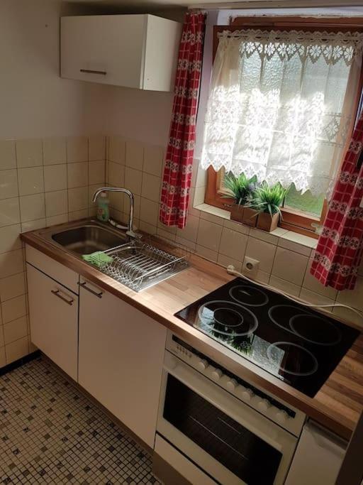 Idyllische Kleine Ferienwohnung Im Schwarzwald 프리덴웨일러 외부 사진